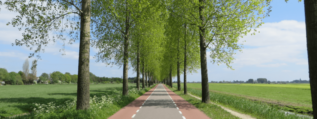 海外インターンシップ後の海外就職を狙う！